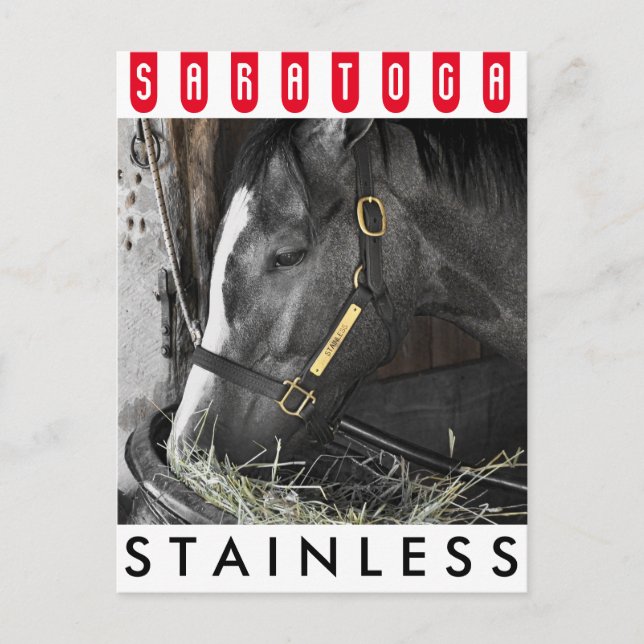 Stainless by Flatter Postcard (Front)