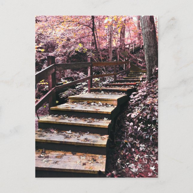 stairs dreamscape postcard (Front)