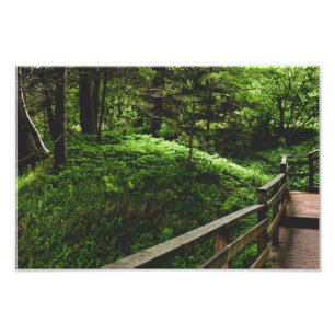 Stairs into the green countryside photo print