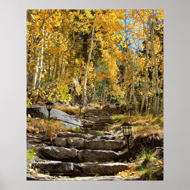 "Stairway to Autumn", Quaking Aspen, Portrait Poster (Front)
