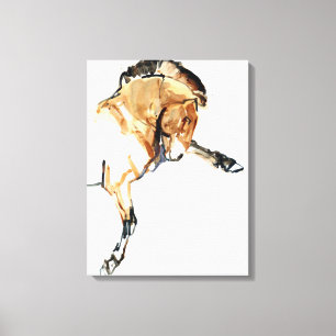 Stallion Canvas Print