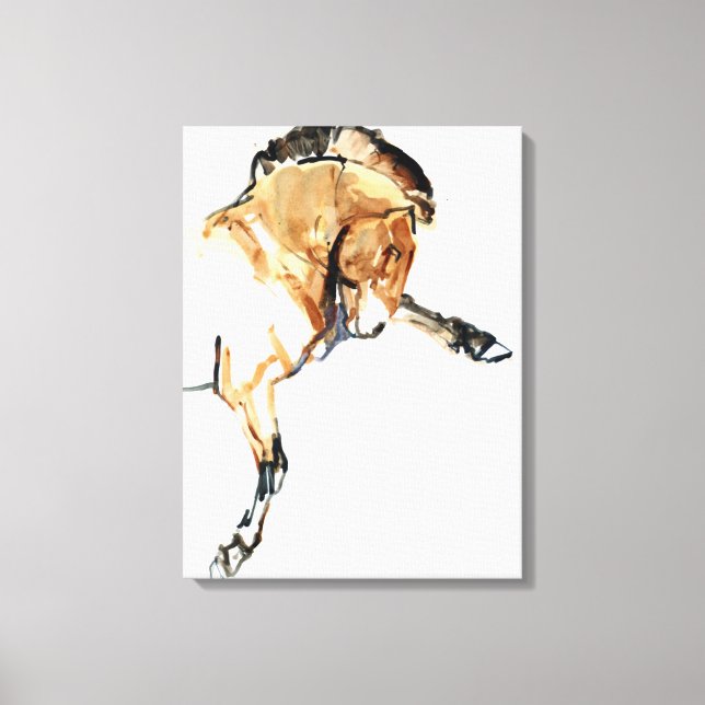 Stallion Canvas Print (Front)