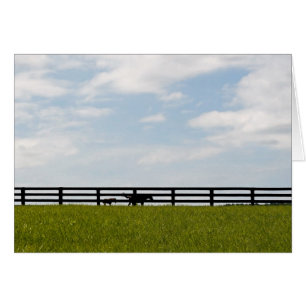 Stallion Farm