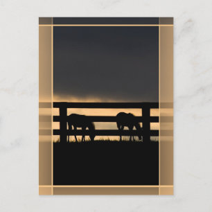 Stallion Farm Vertical Postcard