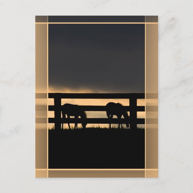 Stallion Farm Vertical Postcard (Front)