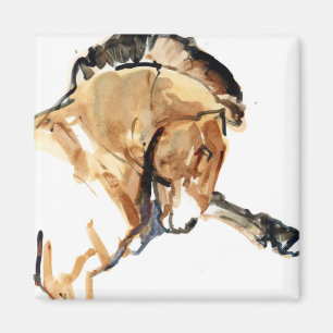 Stallion Magnet