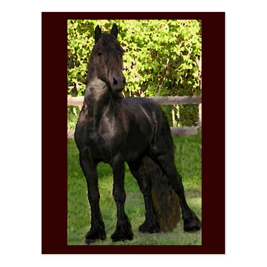 Stallion Painting Postcards