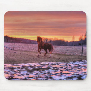 Stallion Running Home at Sunset on Ranch Mouse Mat