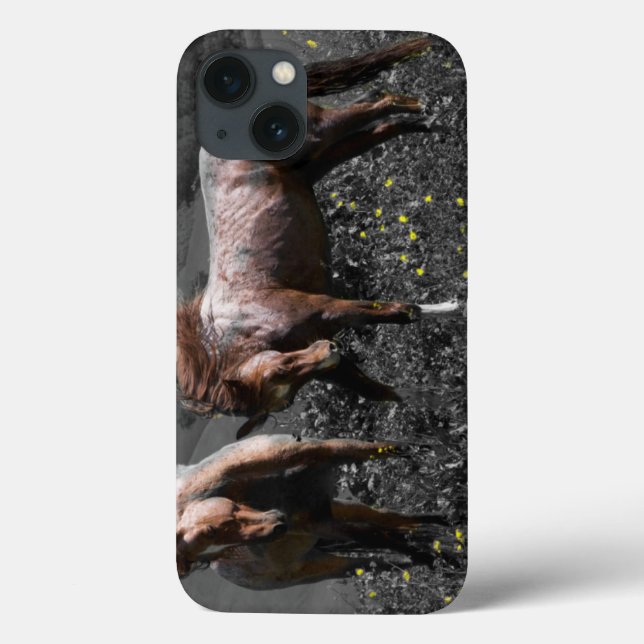 Stallion Spar Case-Mate iPhone Case (Back)
