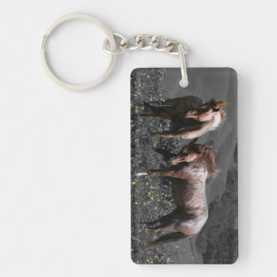 Stallion Spar Key Ring