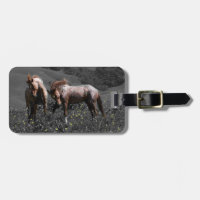 Stallion Spar