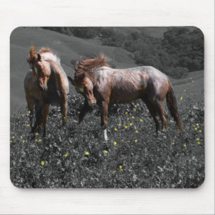 Stallion Spar Mouse Mat