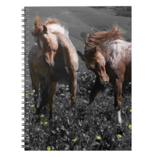 Stallion Spar Notebook
