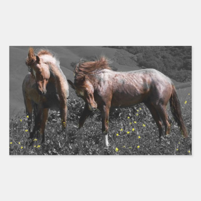 Stallion Spar Rectangular Sticker (Front)