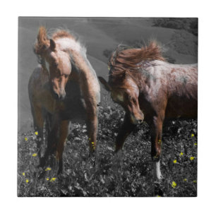 Stallion Spar Tile