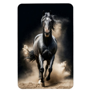 Stallion Wild Animal Elegant Dramatic Portrait Art Magnet