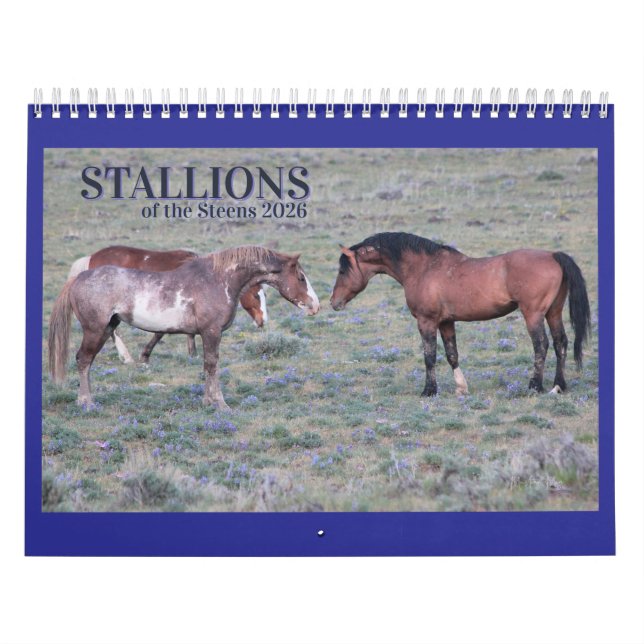 "Stallions" MustangWild 2026 Calendar (Cover)