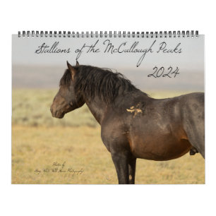 Stallions of the McCullough Peaks Calendar