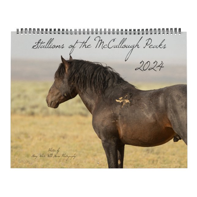 Stallions of the McCullough Peaks Calendar (Cover)