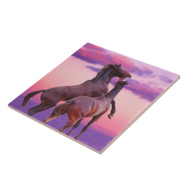 Stallions Playing Tile (Side)