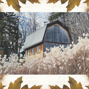 Stalwart Barn Looking Over A Field of White Plants Tissue Paper