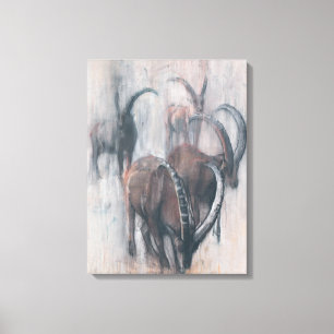 Stambecchi in Estate Canvas Print