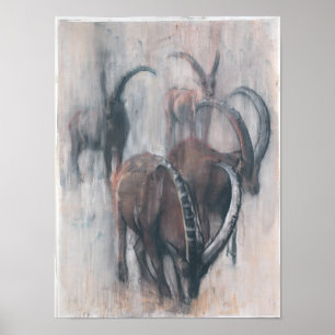 Stambecchi in Estate Poster