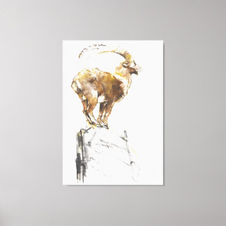 Stambecco d'Oro 2005 Canvas Print