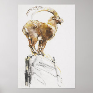 Stambecco d'Oro 2005 Poster