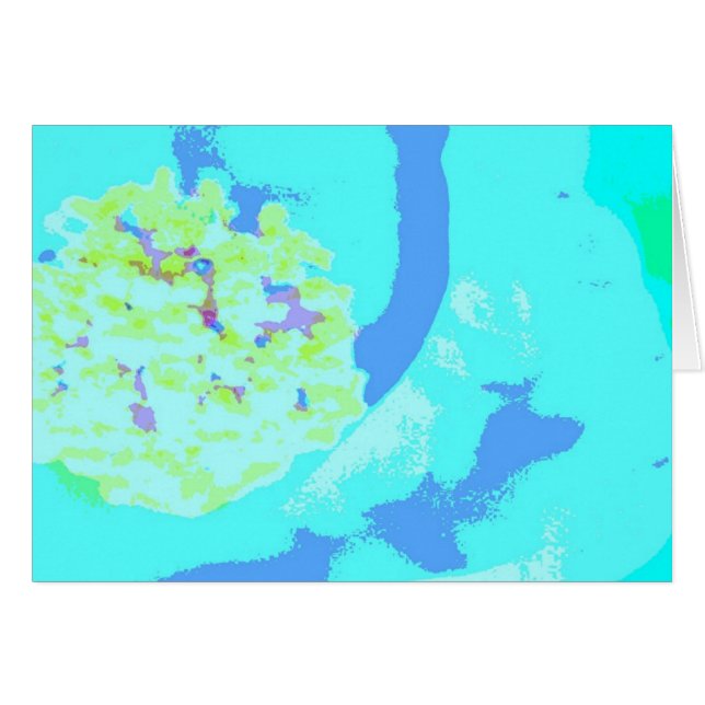 stamen . one (Front Horizontal)