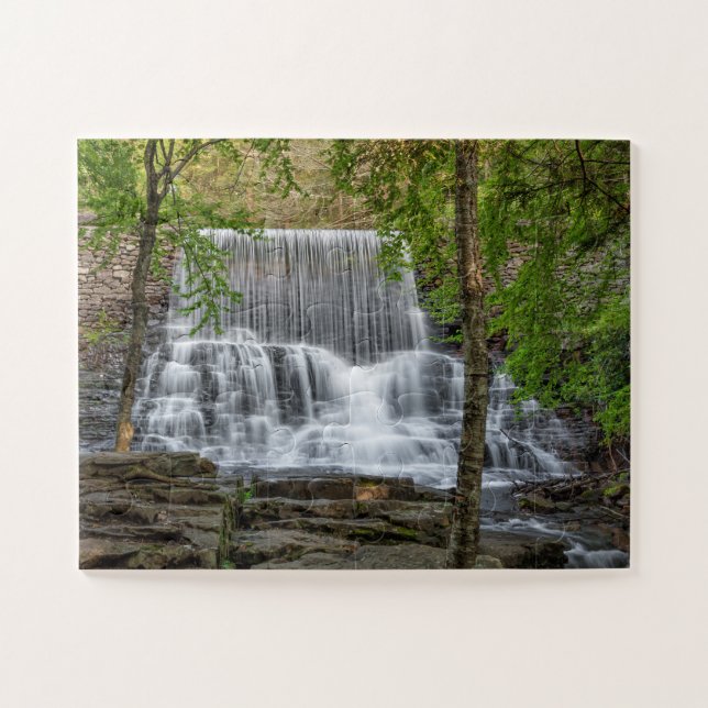 Stametz Dam 11x14 easy Jigsaw Puzzle (Horizontal)