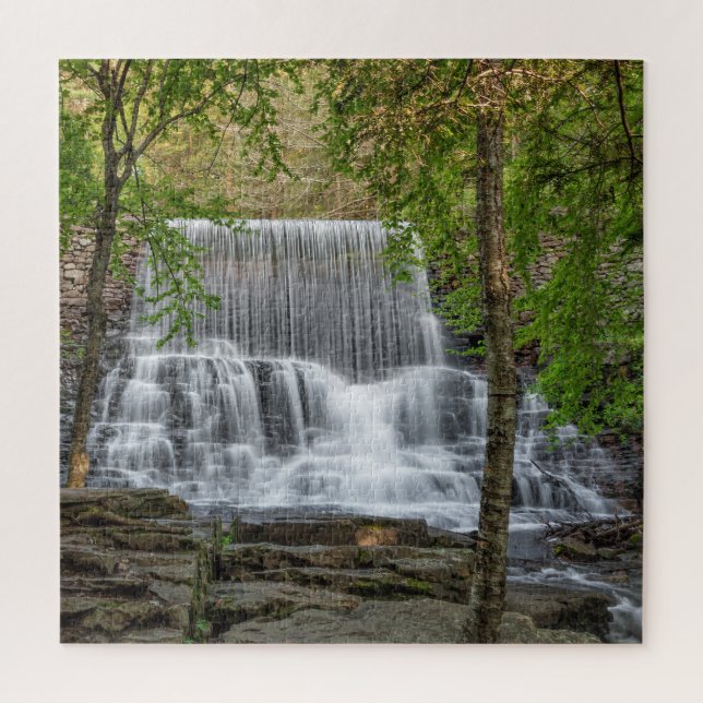 Stametz Dam 16x20 Jigsaw Puzzle (Vertical)