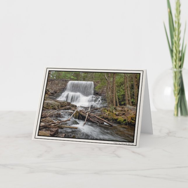 Stametz Dam Card (Front)