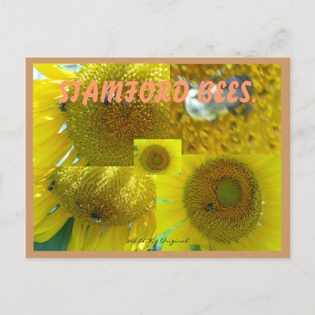 STAMFORD  CT BEES POSTCARD (Front)