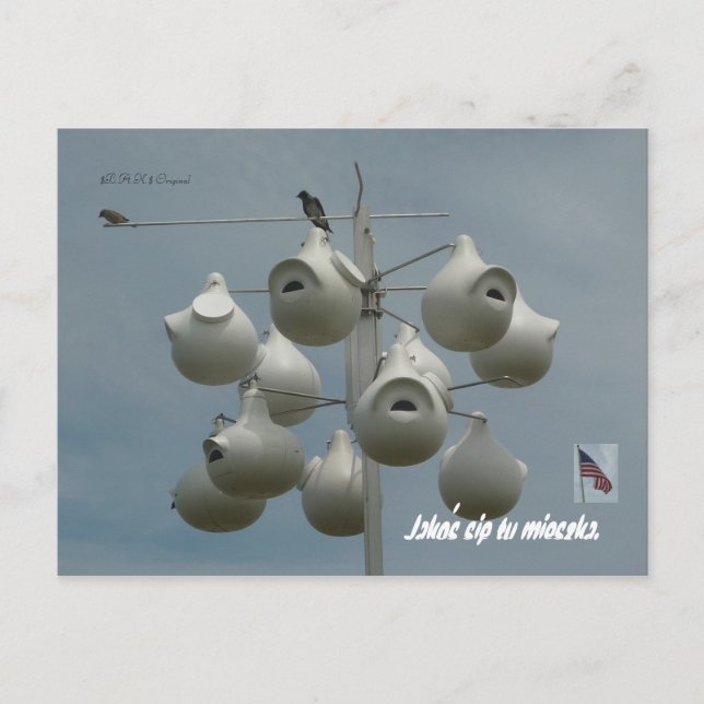 Stamford Ct Postcard (Front)