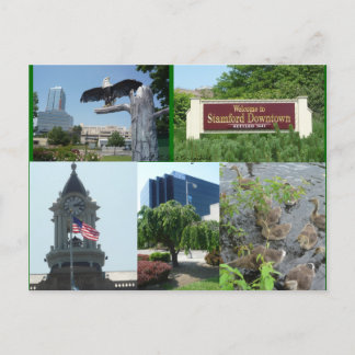 Stamford Downtown Centre Postcard