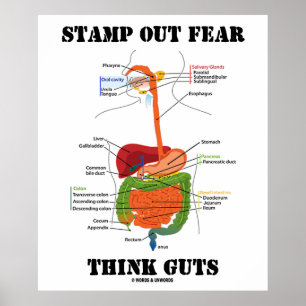 Stamp Out Fear Think Guts (Digestive System Humor) Poster