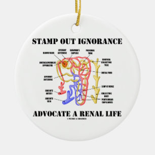 Stamp Out Ignorance Advocate A Renal Life Nephron Ceramic Tree Decoration
