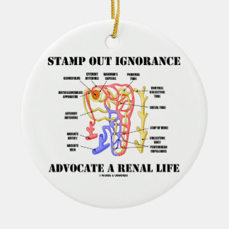 Stamp Out Ignorance Advocate A Renal Life Nephron Ceramic Tree Decoration