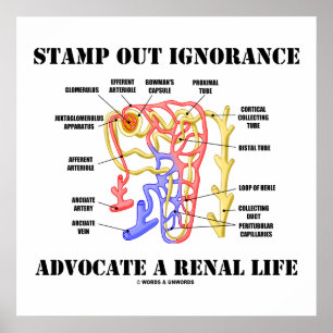 Stamp Out Ignorance Advocate A Renal Life Nephron Poster