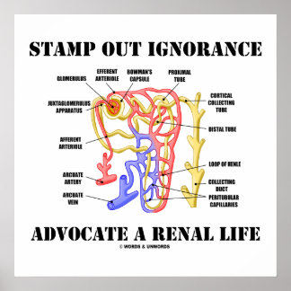 Stamp Out Ignorance Advocate A Renal Life Nephron Poster