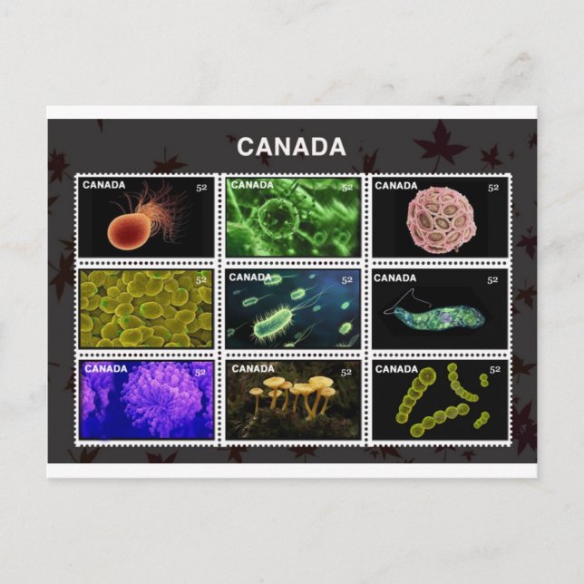 stamp postcard (Front)