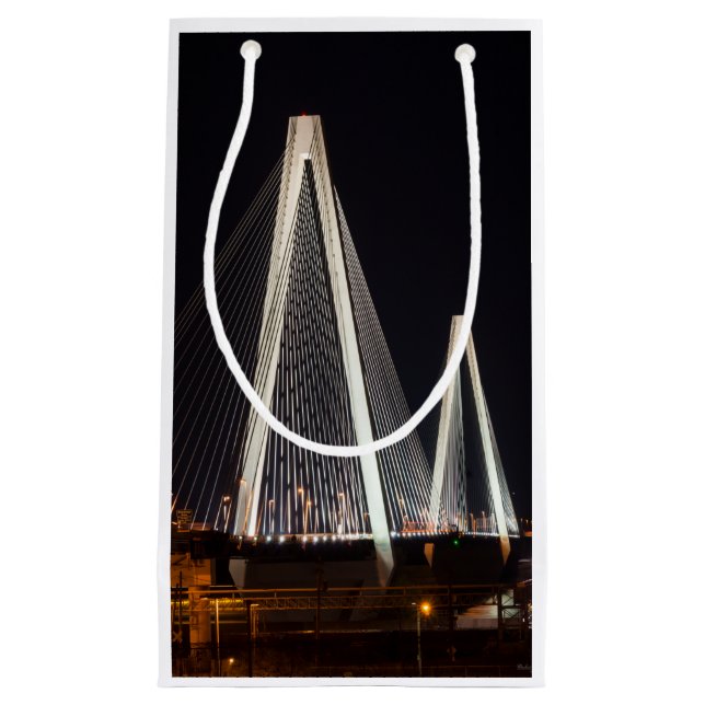 Stan Musial Veterans Bridge Small Gift Bag (Front)