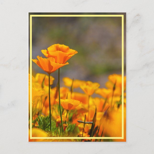 Stand by me! postcard (Front)