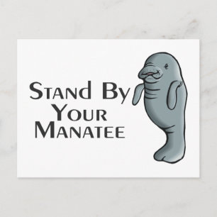 Stand By Your Manatee Postcard
