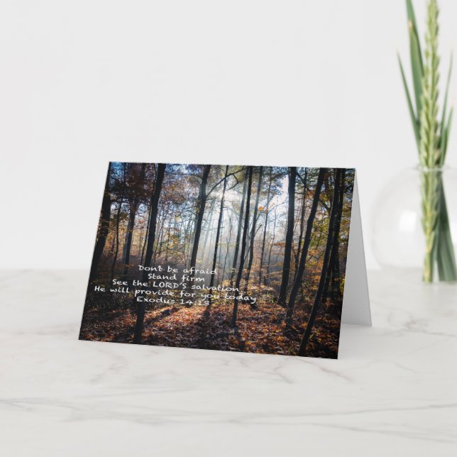 Stand Firm --  Holiday Card (Front)
