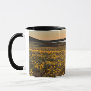 Stand Of Arrowleaf Balsamroot Wildflowers Mug