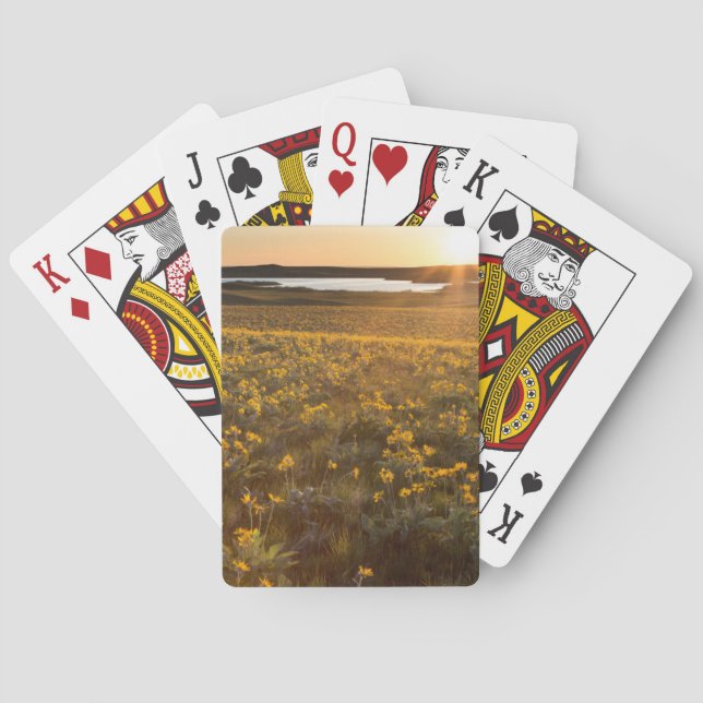 Stand Of Arrowleaf Balsamroot Wildflowers Playing Cards (Back)