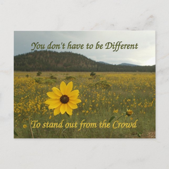 Stand Out from the Crowd Postcard (Front)