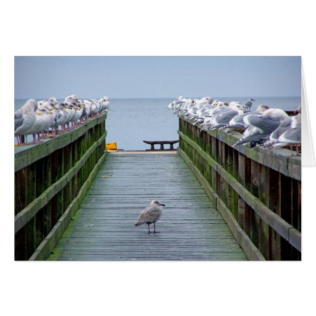 Stand Out in the Crowd (Front Horizontal)